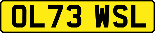 OL73WSL