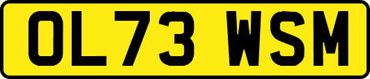 OL73WSM