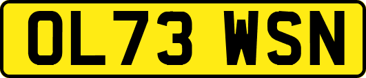 OL73WSN