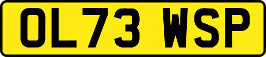 OL73WSP