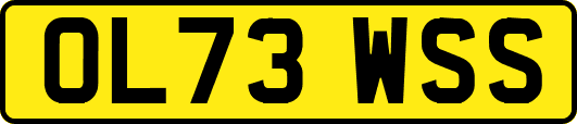 OL73WSS
