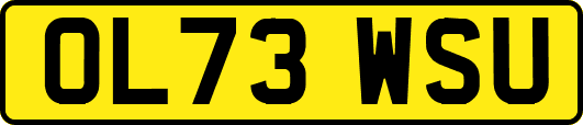 OL73WSU