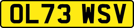 OL73WSV
