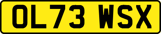 OL73WSX
