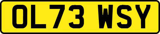 OL73WSY