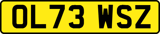 OL73WSZ