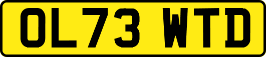 OL73WTD