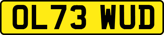 OL73WUD