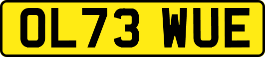 OL73WUE