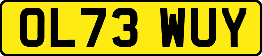 OL73WUY