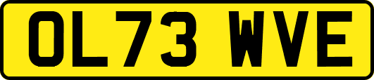 OL73WVE