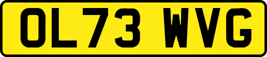 OL73WVG