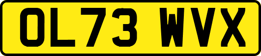 OL73WVX