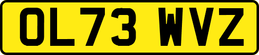 OL73WVZ