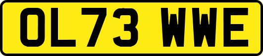 OL73WWE