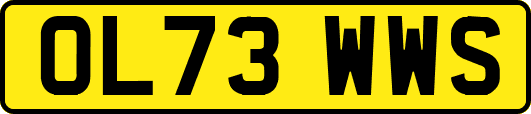 OL73WWS
