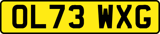 OL73WXG