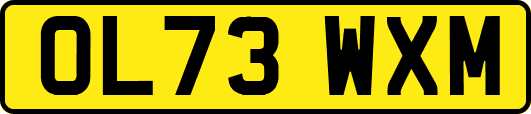 OL73WXM