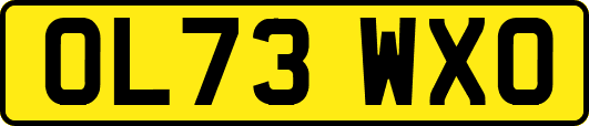 OL73WXO
