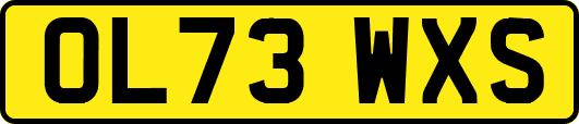 OL73WXS