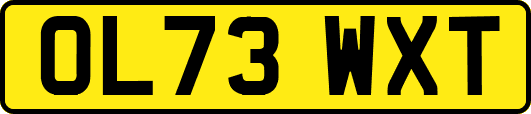OL73WXT