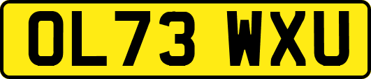 OL73WXU