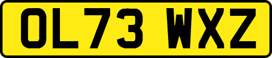 OL73WXZ