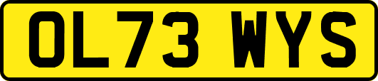 OL73WYS