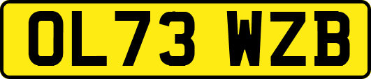 OL73WZB