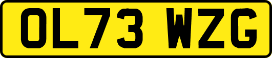 OL73WZG