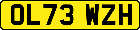 OL73WZH