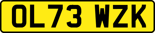 OL73WZK