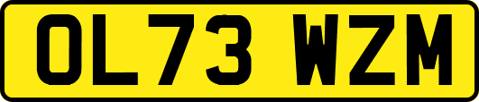 OL73WZM