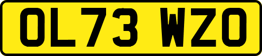 OL73WZO