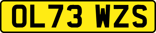 OL73WZS