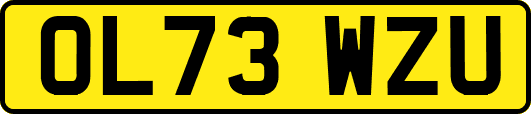 OL73WZU