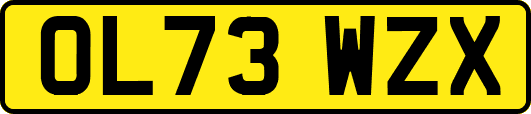 OL73WZX
