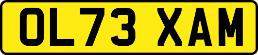 OL73XAM