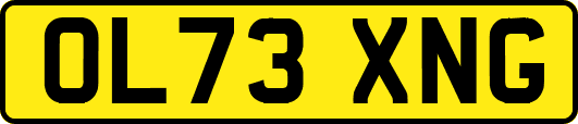 OL73XNG