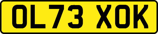OL73XOK