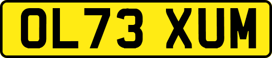 OL73XUM