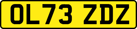 OL73ZDZ
