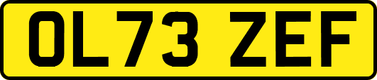 OL73ZEF
