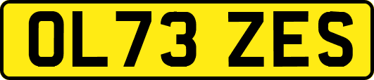OL73ZES
