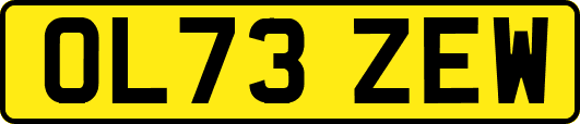OL73ZEW