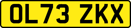 OL73ZKX