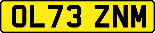 OL73ZNM