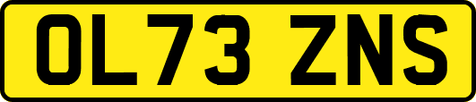 OL73ZNS