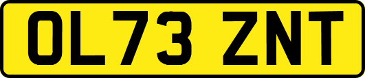 OL73ZNT