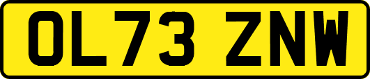OL73ZNW
